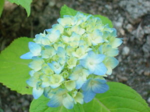 ̓|gK2005.05.24Be