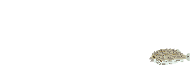 sakana